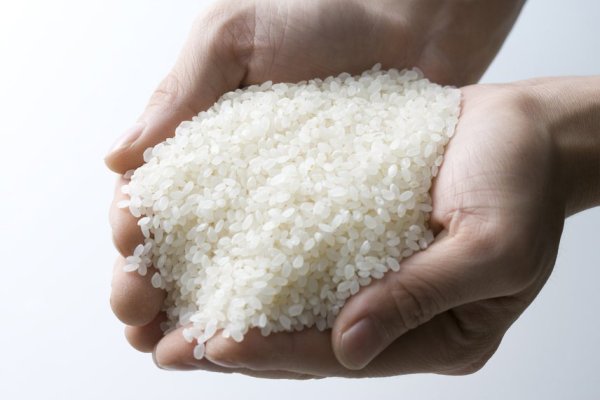 How much better does it take to protect your hair by washing rice? Skin doctors say it s not impossible, but two types of people do not recommend it