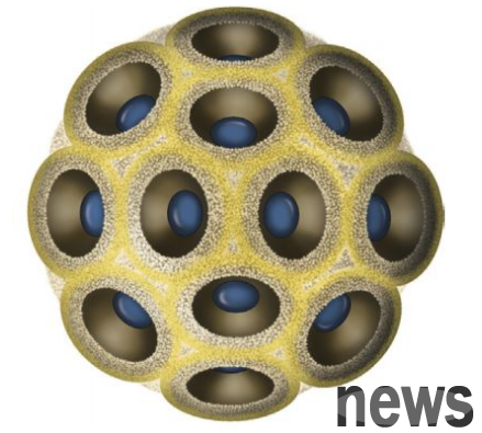 Can cat calicivirus be cured? What are the precautions for cup-shaped positive cats?