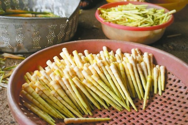 Reduce the saint-style archery, a seasonal limited mountain delicacy! Nutritionists teach how to cook non-bite squids