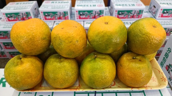 The strongest fruit in winter, tangerines, eat them together to help the blood vessels soften! There are some tricks to preserve citrus, one way to eliminate sourness and enhance sweetness