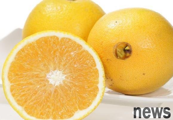 The 