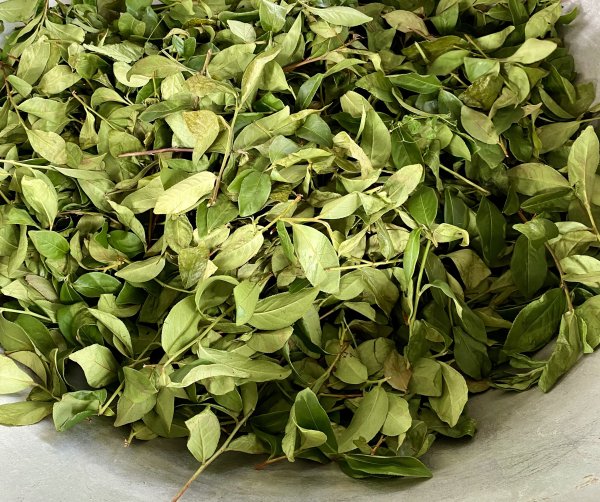 Is it easier to drink imported tea by persisting in drinking hand-plated tea or high mountain tea? Tea experts say this