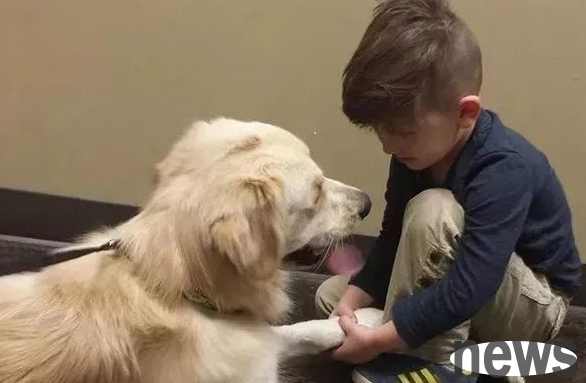 What should I do if a dog has double rows of teeth? What are the main dangers of double-row teeth in pet dogs?