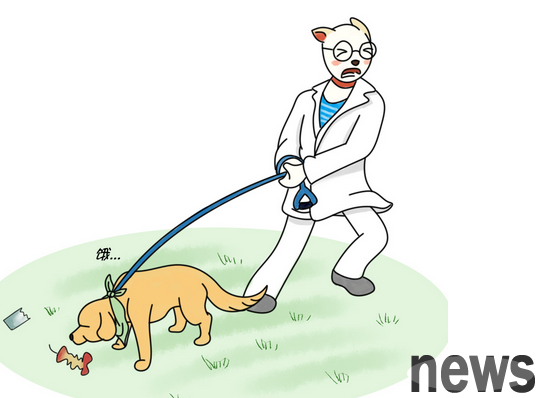 If a dog exercises strongly after a meal, it will cause appendicitis? Don t be foolish about the difference between the cecum and the appendix