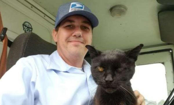 The arrogant black cat is super clingy and doesn t get off the car and goes home without touching and hugging