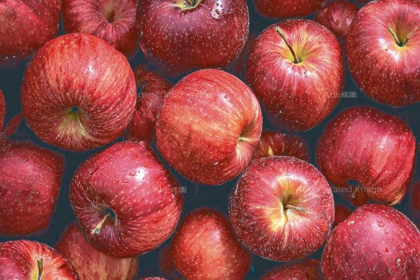 Remote cardiovascular disease and promotes kidney health. Eating this fruit every day will help