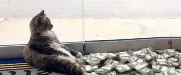 A stray cat gives money to its new owner every day. I thought it was a lucky cat, but after secretly following it, I found out that the cat is fishy.