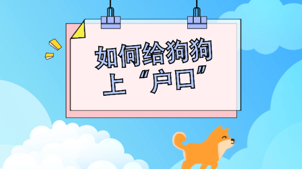 @蒷狗官 will show you in 2 minutes: How to register a dog with a “hukou”