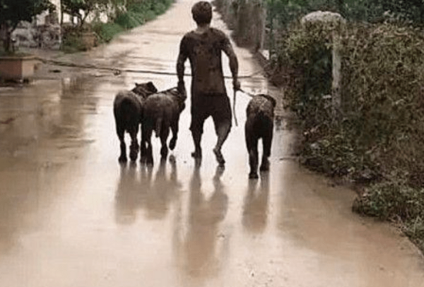 On a rainy day, I met a person and three dogs. I didn t dare to get close and walked around. I couldn t help but look back and saw that I couldn t hold it in.