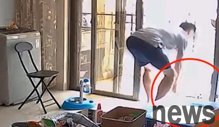 While the prospective graduate student was staying at the hotel, he beat his Pomeranian so hard that his ischium was broken while his owner was not at home.